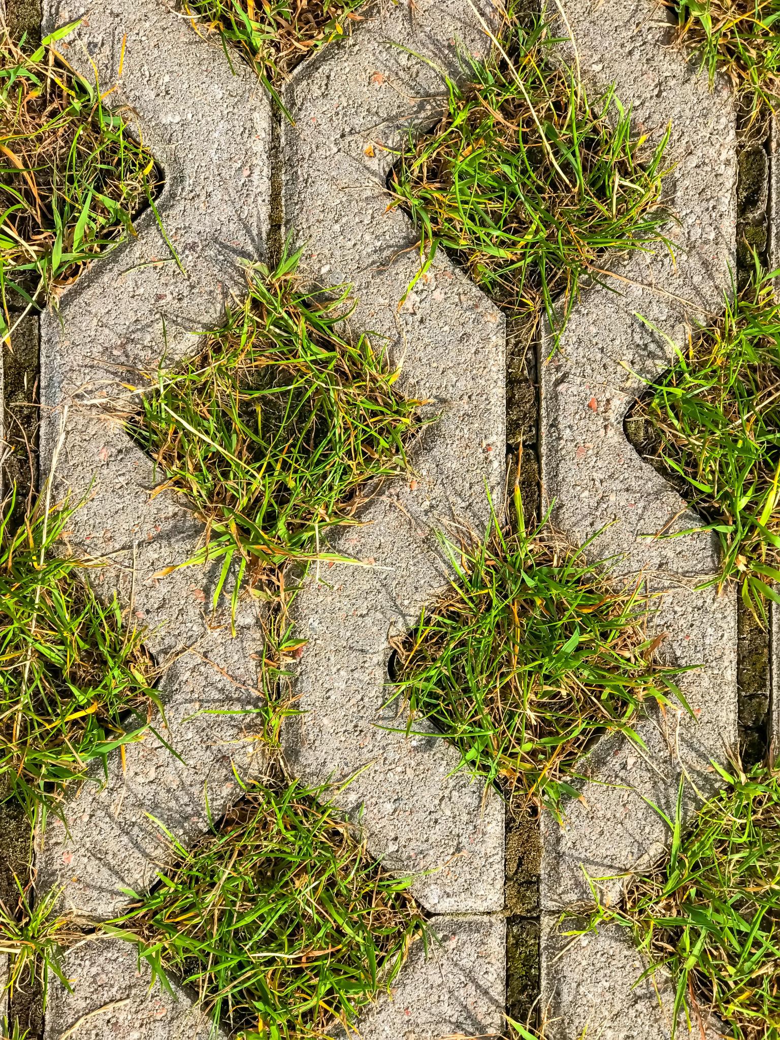 Grass Paver